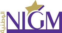 NIGM - NATIONAL INNOVATIVE GENERAL MAINTENANCE LLC